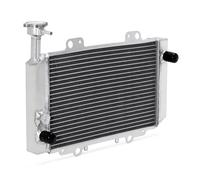 Radiador de refrigeración de motor BIKINGBOY for Husin HS 400 UTV-2 UTV-4 ATV-8 Bennche Coleman Massimo, enfriador de agua de aleación pulida(HS400 UTV-2)
