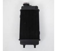 Radiador de Refrigeración P2R para Moto Rieju 50 RS2 Matrix 2004A 2010 Nuevo