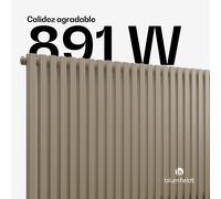 Blumfeldt Radiador Delgado | Diseño moderno | 63 x 100 cm | 891 W | Conexión central o lateral