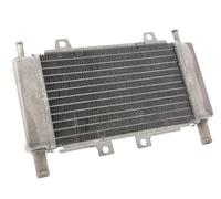 Radiador, enfriador de agua compatible con Piaggio Zip C25, Runner C14 C36, DNA C27