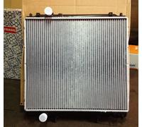 NISSENS 67483 Radiador refrigeración del motor para HYUNDAI TERRACAN (HP)