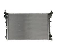 DENSO DRM09163 Radiador, refrigeración del motor
