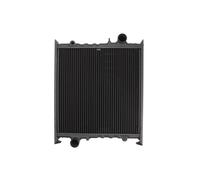 Radiador, refrigeración de motor NRF 504366