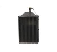Radiador, refrigeración del moto THERMOTEC D7AG102TT