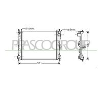 Radiador Refrigeración Del Motor Prasco DS011R010 Prascoselection para Nissan