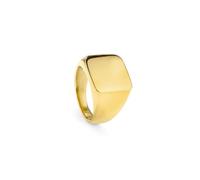 Radiant - Colección Shine - Anillo de Sello Ancho Dorado para Hombre Talla 22, Sofisticación y Distinción para un Estilo Único.