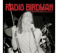 Radio Birdman - Live At Paddington Town