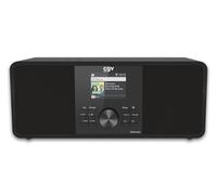 Radio Internet DR30 Rec con función de grabación, Dab+, FM, Bluetooth, AUX, USB, WiFi, Pantalla TFT a Color de 2,4 Pulgadas y Mando a Distancia.