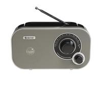 Radio denver tr-51grey con sintonización analógica fm. se puede util