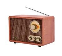 Radio Portátil Adler AM/FM 10W Bluetooth Marrón