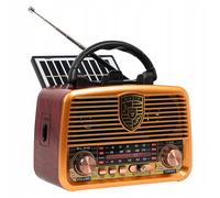 Radio portátil BLOW solar AM/FM BT AUX USB TWS RA10
