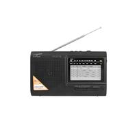 Radio portátil LTC-2016 Wilga con batería integrada y USB
