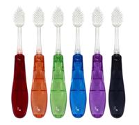 RADIUS Tour Travel Brush & Case with Replaceable Brush Head ADA Accepted Toothbrush Improve Gum Health - Assorted Colors - Pack of 6