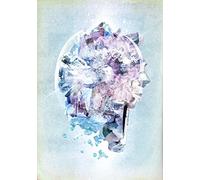 Radwimps - Live&Document 2014 (3 Dvd) [Edizione: Giappone] [Italia]