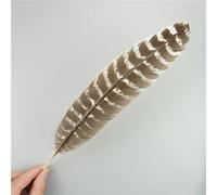 RAEF 10 unids/Lote de Plumas de águila Naturales para Manualidades, Accesorios de Tocado, decoración navideña, Plumas de Carnaval, decoración Artesanal DIY
