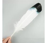 RAEF 10 unids/Lote de Plumas de águila Naturales para Manualidades, Accesorios de Tocado, decoración navideña, Plumas de Carnaval, decoración Artesanal DIY