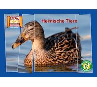 Rätselstreifen Ratespaß: Heimische Tiere / Kamishibai Bildkarten: 16 Fotobildkarten für das Erzähltheater