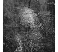 Rafa Ramos Sania - A Broadcast Of Your Silence