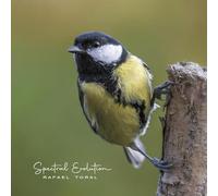 Rafael Toral - Spectral Evolution [Vinilo]