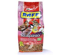 RAFF REALPASTO ALIMENTO PAJAROS FRUTIVEROS E INSECTIVOROS - Pasta DE Frutas 1 KG
