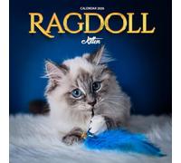 Ragdoll Cats Calendar 2026: Elegant Photography of Fluffy & Blue-Eyed Cats