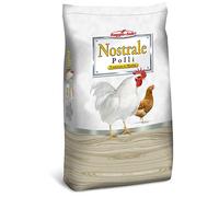 Raggio di Sole Nostrale Pulcingiallo Farina - Kg.10