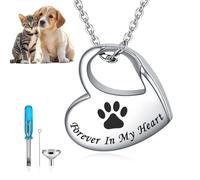 Raheem Collar de urna de cenizas, collar de cenizas en forma de corazón, joyería de cenizas de acero inoxidable, recuerdo personalizado para gatos, perros, collar conmemorativo grabado Forever in My