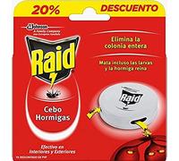 Raid Cebos - Trampa antihormigas, Elimina la Colonia de Hormigas Entera, Efectivo en Interiores y Exteriores, 1 Unidad (Paquete de 1)