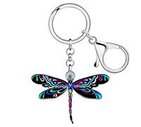 RAIDIN Acrílico lindo colorido libélula llaveros para las mujeres niñas Insecto Joyería para el bolso del coche Bolsos Llaves Regalos Charms Accesorios (Pedernal)