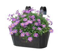 Railing Planter, Black/Beige/Blue Metal Hangable Deck Planter, 11.02x9.45x3.74 Inches Countryside Window Flower Boxes for Garden Yard and Home Decoration Plant Pots