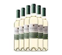 Raimat Castell Chardonnay Costers del Segre Botella Medium 50 cl Vino blanco (Caja de 6 Botella Medium de 50 cl)