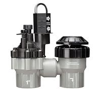 Rain Bird DASASVF100 Professional Grade Anti-Siphon Valve with Flow Control, 1" Threaded Female x Female