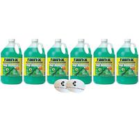 Rain X Green - Paquete de 6 líquidos para limpiaparabrisas con repelente de lluvia y removedor de insectos, 32 F fluido para todo tipo de clima, 1 galón cada uno