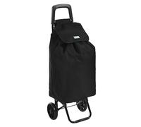 Rainberg Carro de la Compra Ligero de 50 litros con 2 Ruedas, Resistente al Uso y Plegable a la Moda, carros Plegables para un fácil Almacenamiento (Negro)