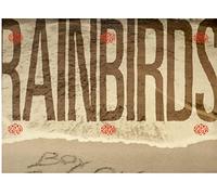 Rainbirds - Boy on the Beach [Vinilo]
