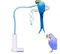 Rainbow Cotton Rope Desktop Parrot Perch | Non-Slip PVC Metal Training Stand | 300g Interactive Boredom Relief Toy | Lovebird Cockatiel Self-Play Gym