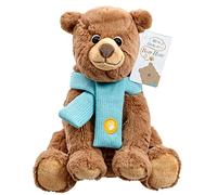 Rainbow Designs Oficial We're Going On a Bear Hunt - Juguete de oso marrón súper suave para niños pequeños y bebés, 24 cm