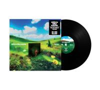 Rainbow Kitten Surprise – bones – Vinilo (Importación USA)