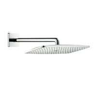 Raindance E Rociador de ducha (An x L: 36 x 48,5 cm, 9 l/min, Número de funciones: 1 ud., Cromo)