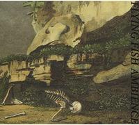 Rainforest Spiritual Enslavement - Flying Fish Ambience