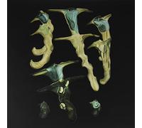 Rainforest Spiritual Enslavement - Jellyfish Reproduce Black Magic [Vinilo]