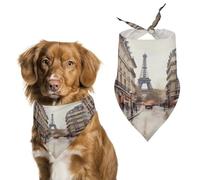 Rainy Street in Paris - Bandanas de Pascua para perros pequeños, medianos y grandes, gatos, bufanda para mascotas, baberos lindos de poliéster. Bufanda triangular para mascotas, regalo personalizado