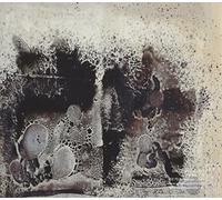 Raison D'etre - The Stains of the Embodied Sacrifice