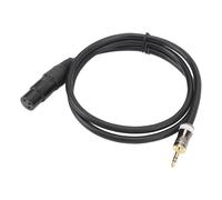 Raiveug 3.5 mm Macho XLR Cable Femenino Adaptador Profesional Micrófono Conjunto de Sonido Cámara DSLR DSLR 3.3ft
