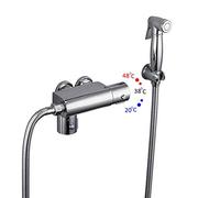 RajoNN Bidé, bidé termostático de montaje en pared, inodoro de bidé de latón, ducha higiénica de agua caliente y fría, kit de rociador de agua caliente, cromado