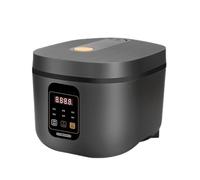 RajoNN Home Smart - Olla arrocera multifuncional para el hogar, gachas pequeñas, 5 L
