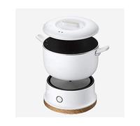 RajoNN Hornillo de arroz plegable olla caliente portátil de viaje antiadherente olla de arroz dividida 110-240 V (color: plata)