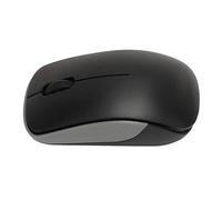 RajoNN Ratón ergonómico, tamaño Mini, cómodo con ratón inalámbrico portátil de 2,4 GHz para Viajes en casa (Negro)