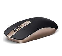 RajoNN Ratones inalámbricos, Ratones ópticos portátiles Delgados y silenciosos de 2,4 G con conmutación rápida de dpi, ratón de Ordenador para PC/Windows/Android (Color: Negro)