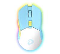 RajoNN Ratones inalámbricos, Ratones para Juegos con Cable RGB Tipo C con 7 Botones programables, Ratones para Juegos RGB Recargables 10000 dpi, 150 IPS, tasa de sondeo de 1000 Hz, para PC y